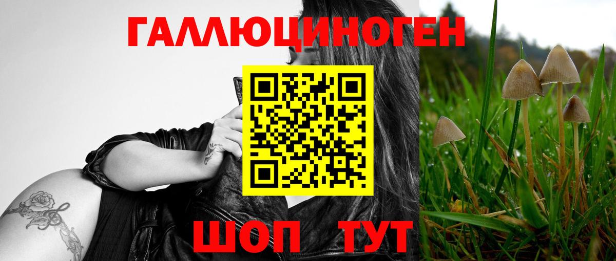 Камышлов  Псилоцибиновые грибы MAGIC MUSHROOMS  Вход с VPN 